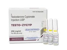 Testo Zycyo