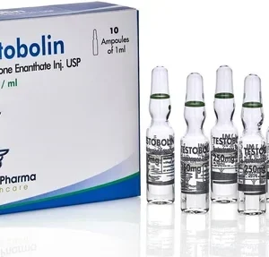 Testo-Zybolin